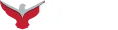REM