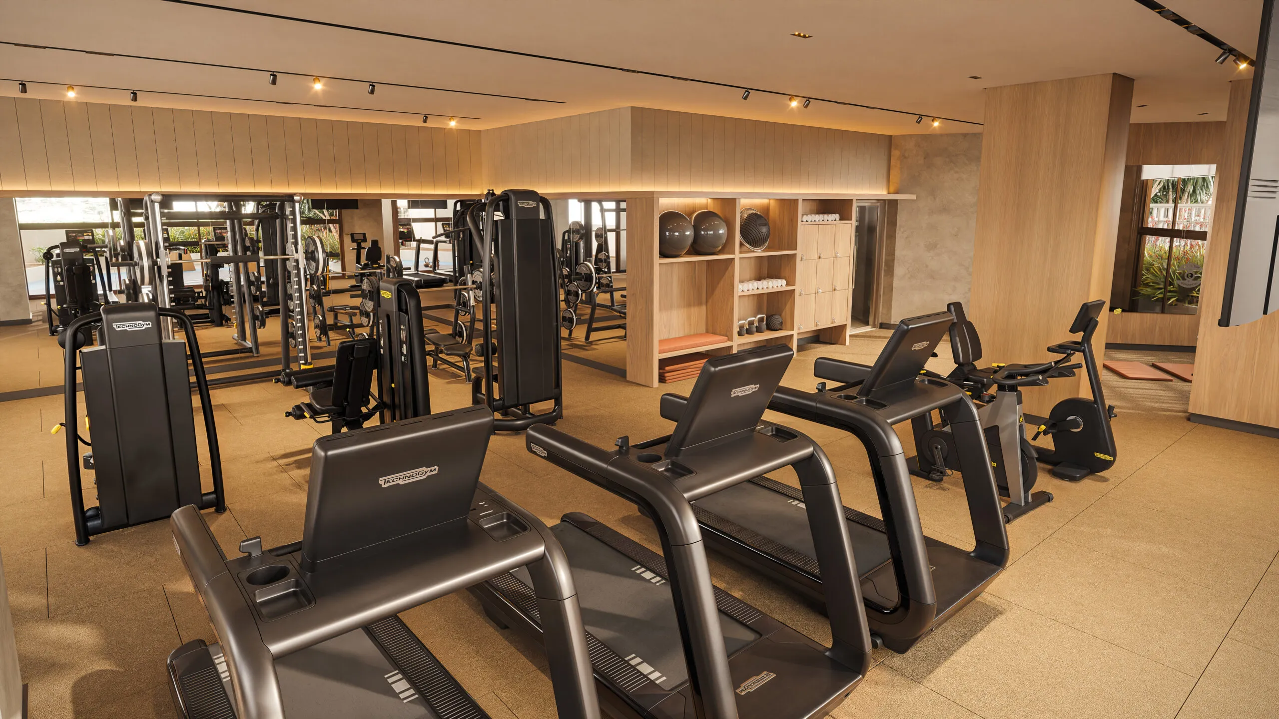 FITNESS Perspectiva artística